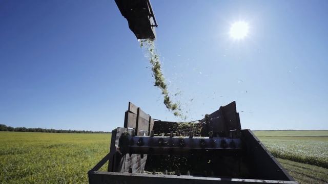 Вот как надо заниматься фермерством | Образцовая ферма смотреть онлайн