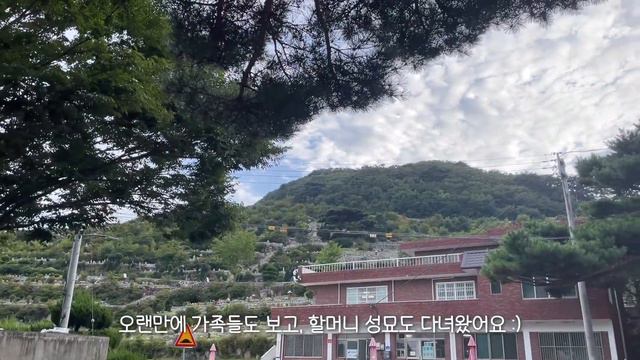 자취 VLOG💄택배 언박싱하고 요리하는 자취생 일상 브이로그 смотреть онлайн