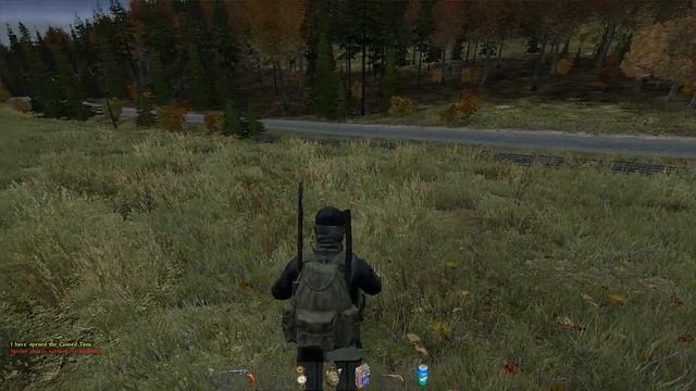 Let's Play Together: DayZ Standalone Alpha #042 Unfreiwillige Opfer смотреть онлайн