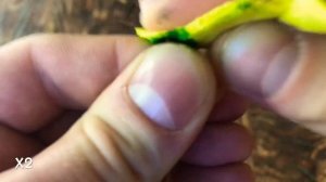 КАК ОТПОЛИРОВАТЬ ОБРУЧАЛЬНОЕ КОЛЬЦО?