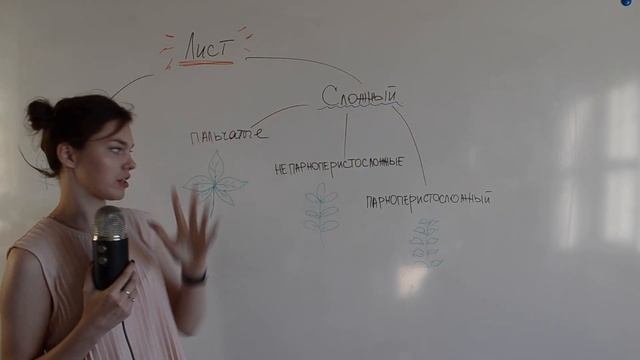 ЦТ по биологии А17 типы листьев смотреть онлайн