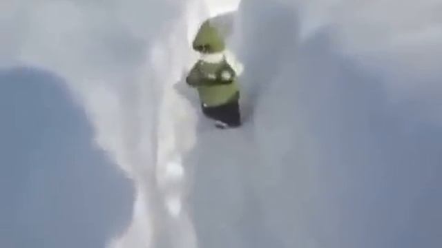 Обезьян в снегу) смотреть онлайн