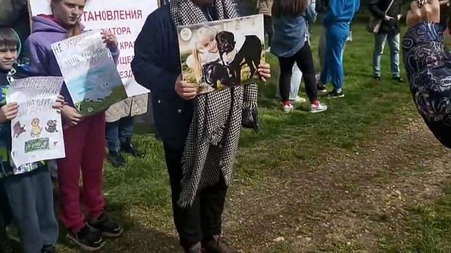 Массовый пикет в защиту БЕЗДОМНЫХ ЖИВОТНЫХ г.Краснодар 22.04.2023г. смотреть онлайн