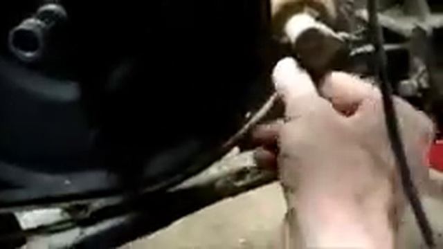 Polaris Sportsman 500 Transmission Removal/ Replace and Inspection! смотреть онлайн