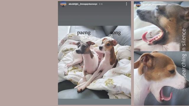 220101 Jikook | Jikook new year greeting 2022 | Jimin - Jungkook interview moments | Jikook Today смотреть онлайн