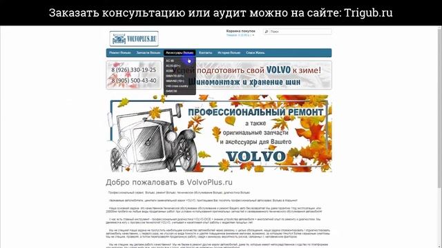 Аудит сайта. Сервисный центр Вольво. Проверка сайта на ошибки с рекомендациями. смотреть онлайн