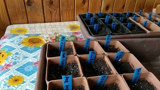 57 стр. Пришло время сеять рассаду томатов. смотреть онлайн