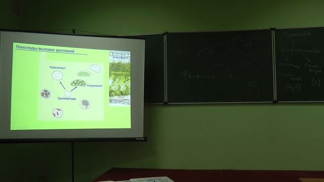 7.11.13 Физиология растений - Чуб В.В. часть 1