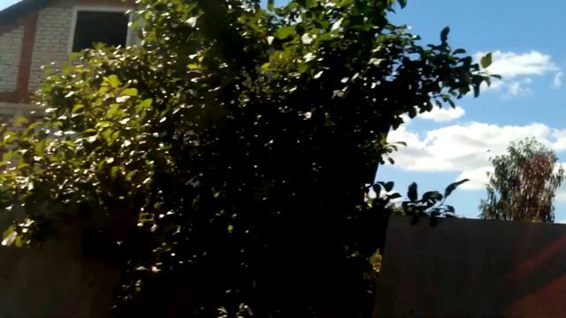 По дороге домой. Маршрутка #5. смотреть онлайн