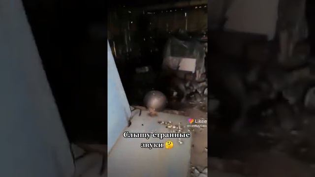 что значит чики чириииик? на 2021 ???? #shost 🤔 смотреть онлайн