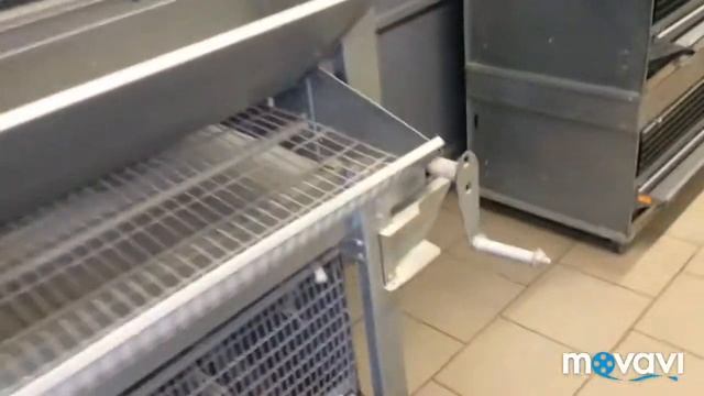 Покупка инкубационного Яйца Хайбрит Конвектр на Ферма Крэйзи ! смотреть онлайн