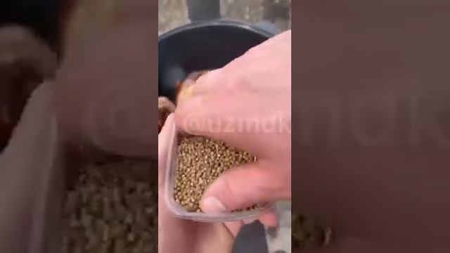 Как приготовить самую вкусную говядину на даче с друзьями или семьей смотреть онлайн