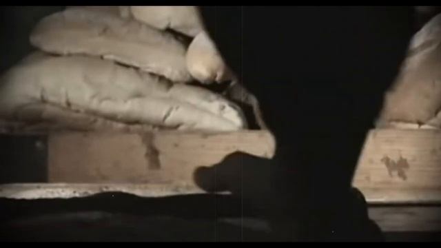 Как 50 евреев хотели убить 6 миллионов немцев. Тайный еврейский орден «НОКМИМ» смотреть онлайн