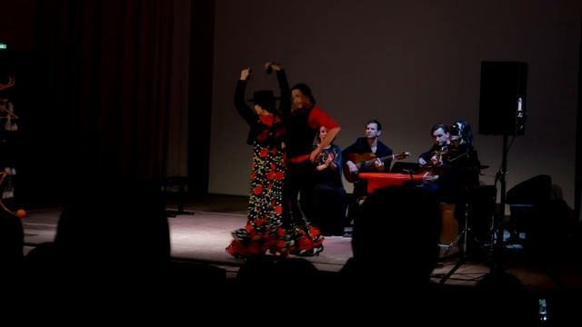 CARMEN / FLAMENCO / NATALIA ZAYKOVA (promo) смотреть онлайн