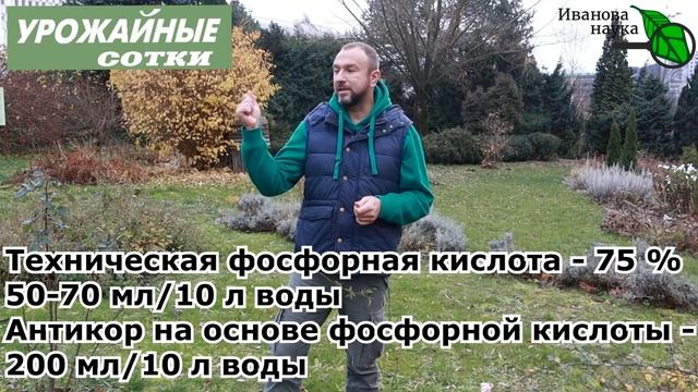 Мох - безопасный и прекрасный помощник! Как развести мох? смотреть онлайн