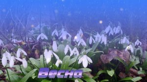 Футаж. Весна 38