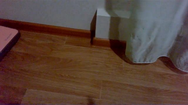 Как избавиться от клопов смотреть онлайн