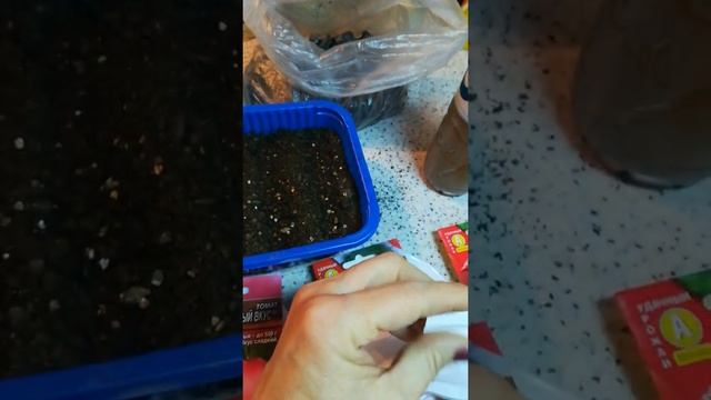 Супер легко и просто! Посев семян помидор! смотреть онлайн