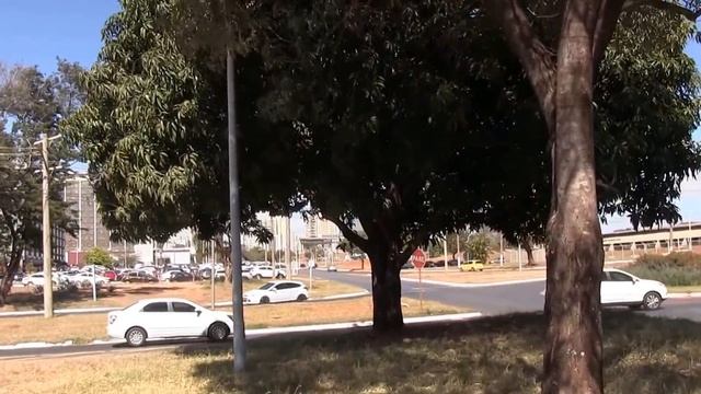 Walking In Brasilia ( Brasil)