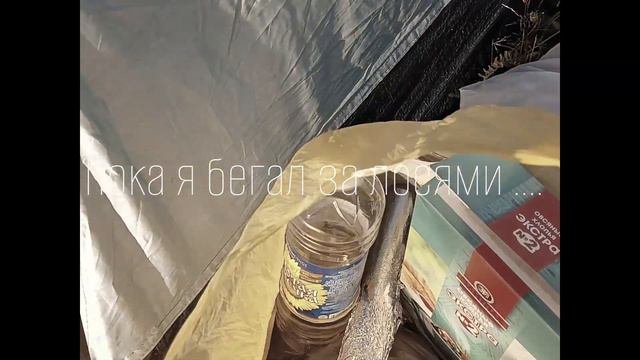 Карелия, которая удивляет... Почему о ней так мало говорят? #автостоп #карелия #приключение #шок смотреть онлайн