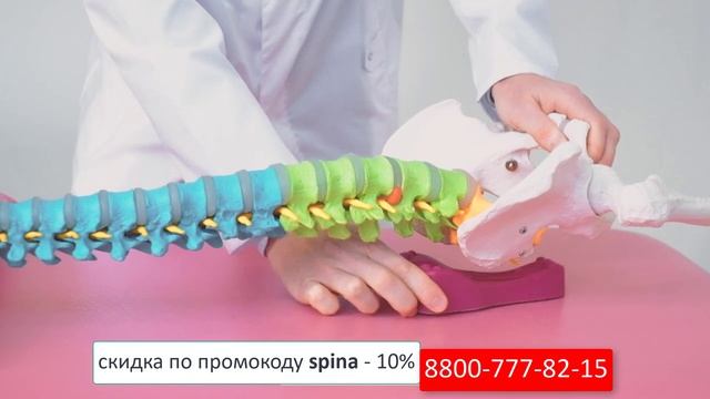 Источник боли и грыжи? Избавьтесь от главной причины боли в спине и шее. Cordus семейный остеопат.