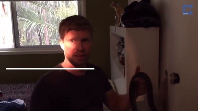 Extremely shocked when discovering a snake stuck behind power plug socket at home смотреть онлайн