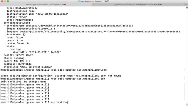 Kubernetes Happy Hour : Falco (first in the dev sec ops series) смотреть онлайн