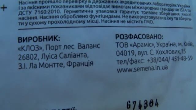 Кабачок Мостра F1 обзор Zucchini Mostra F1