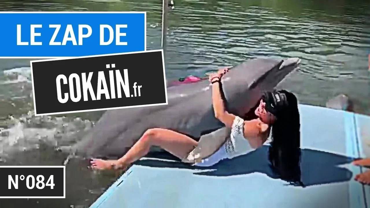 Le Zap De Cokaïn.fr N°084