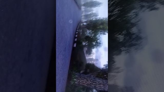 просто игра?