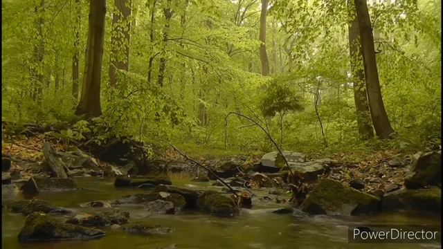 Приятная расслабляющая Музыка для релаксации. Релакс Видео. Слушай Это Каждый День 7 Дней и..... смотреть онлайн