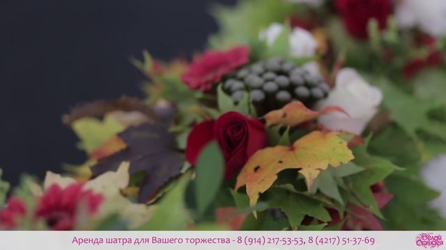 Свадебный шатер - Комсомольск-на-Амуре - Организация свадьбы