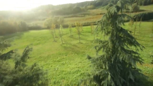 Chilling with drone Pt.1| Happymodel Crux 35 [ Elrs V2 ] + Runcam Thumb смотреть онлайн