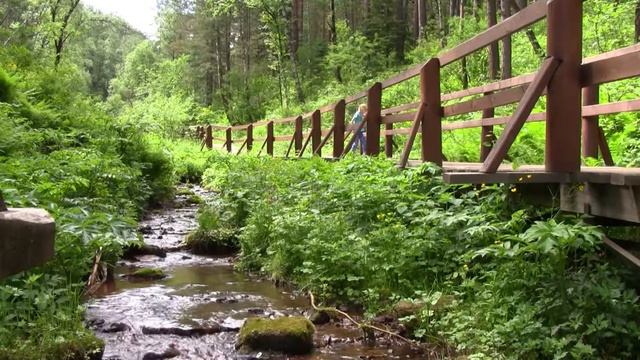 Красноярские столбы Восточный вход смотреть онлайн