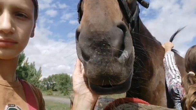 влог с конюшни, пришла посылка💕🐴 смотреть онлайн