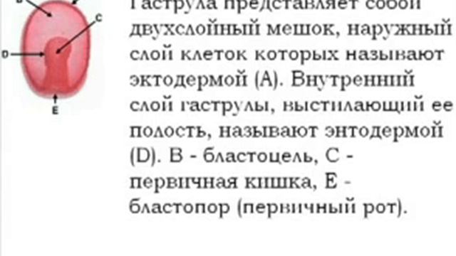 Без имени wmv смотреть онлайн
