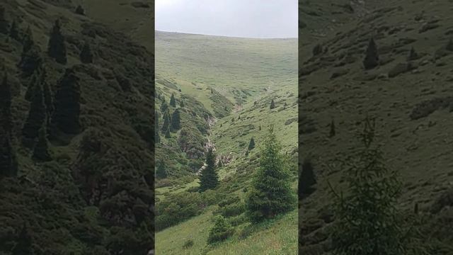 Асы жайлау смотреть онлайн