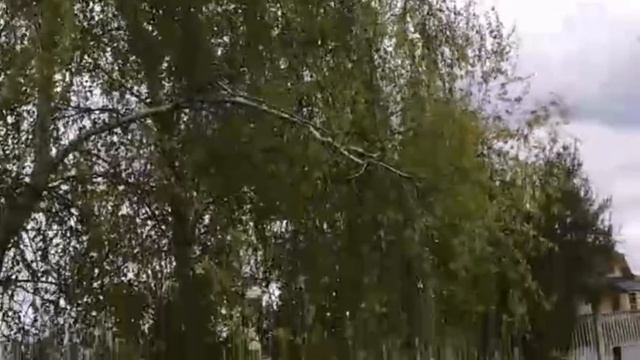 ✅Переезжаем на ХУТОР. Деревенский ремонт. смотреть онлайн