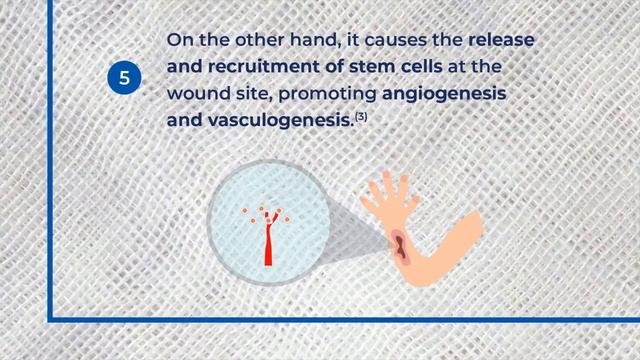 Механизм заживления ран при ГБО терапии смотреть онлайн