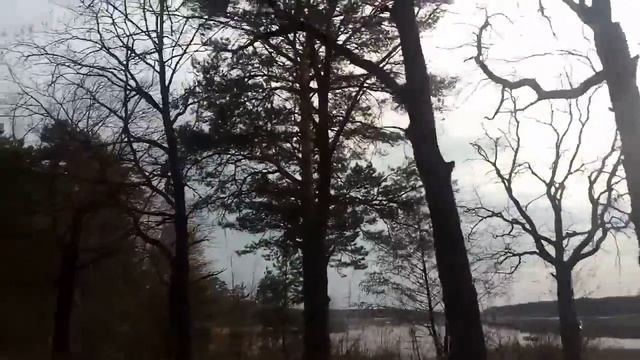 Правила рыболовства 2020 новые изменения подводим итоги смотреть онлайн