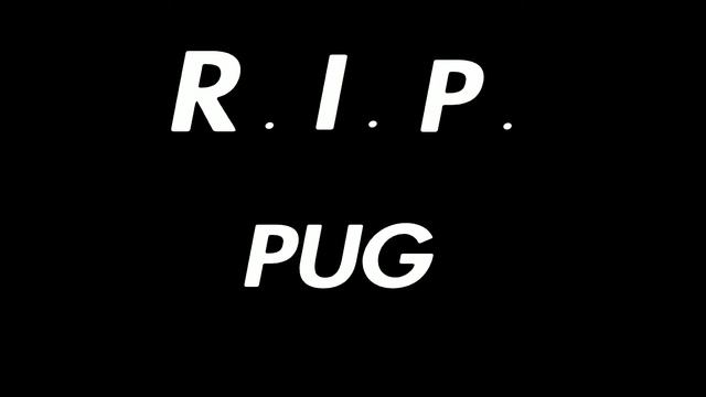 Pug instant regret смотреть онлайн