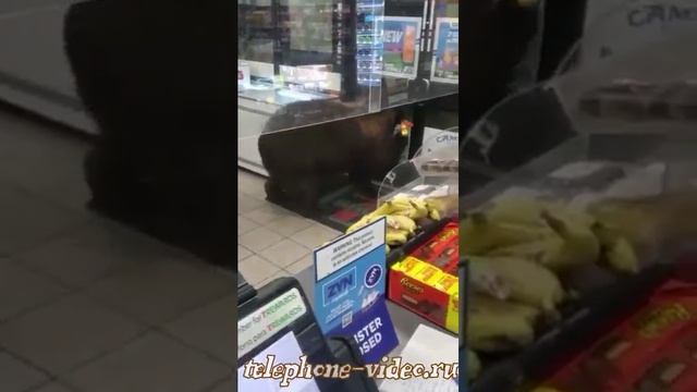 за плачу завтра ребятам на фронт я там уже был и знаю каково это 2202 2003 4591 2586 сбер смотреть онлайн