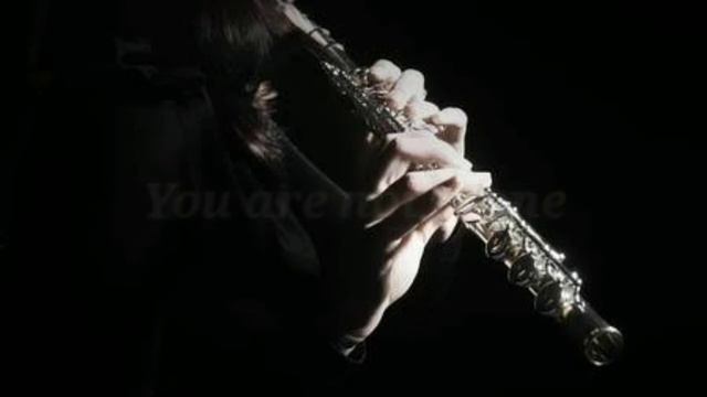 Alan walker - Alone { Flute cover}. смотреть онлайн