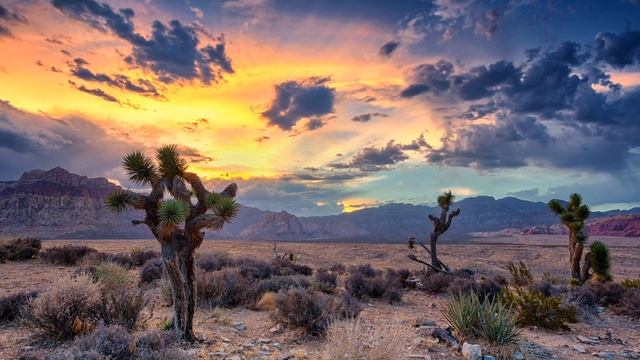 Brock Hewitt. Your Light