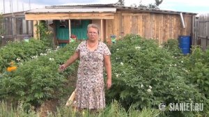 Природное земледелие в Сибири часть 3