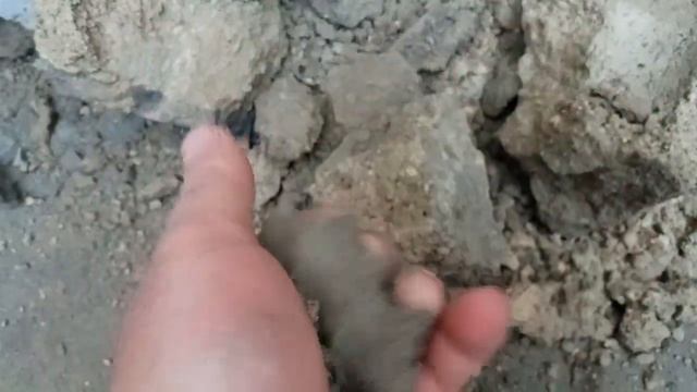 Гидроизоляция. Мокрые стены. Восстановление гидроизоляции стен