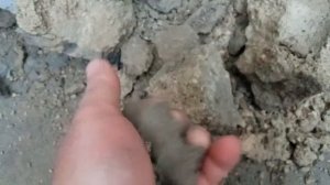 Гидроизоляция. Мокрые стены. Восстановление гидроизоляции стен