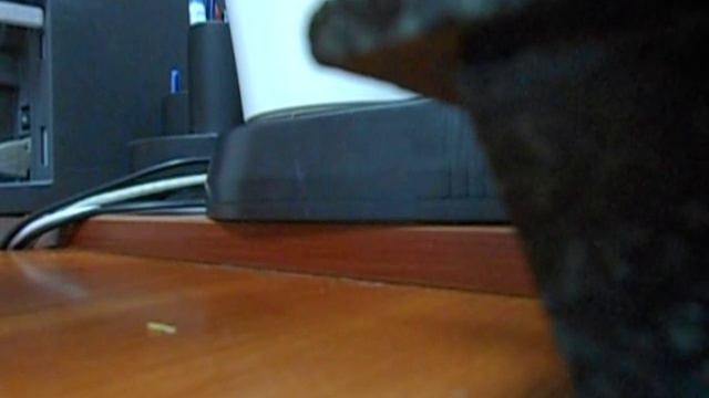 Следователя выгнали с допроса.