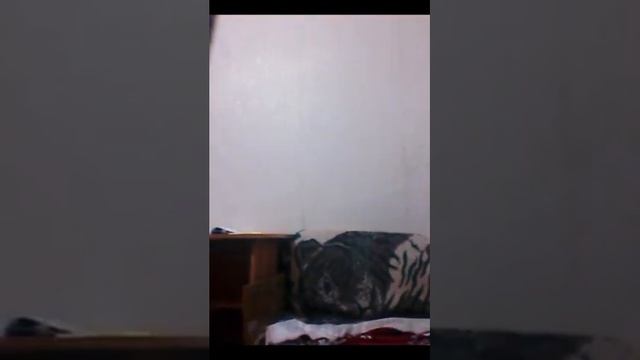 ЕСЛИ ЭТО ВИДЕО СМОТРИТ САИД ЭТО ЗНАЧИТ ХЫШ БРЫСЬ ОТ СЮДА смотреть онлайн