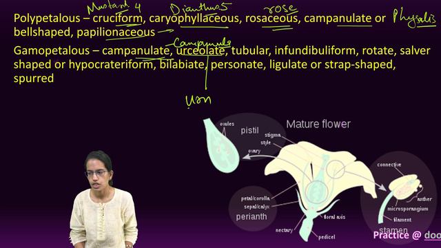 Floral Morphology: Corolla - Polypetalous & Gamopetalous | NEET UG | DoorstepTutor смотреть онлайн